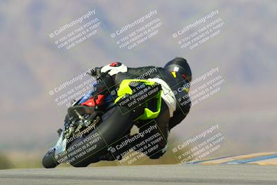 media/Jan-13-2024-SoCal Trackdays (Sat) [[9c032fe5aa]]/Turn 9 Backside (110pm)/